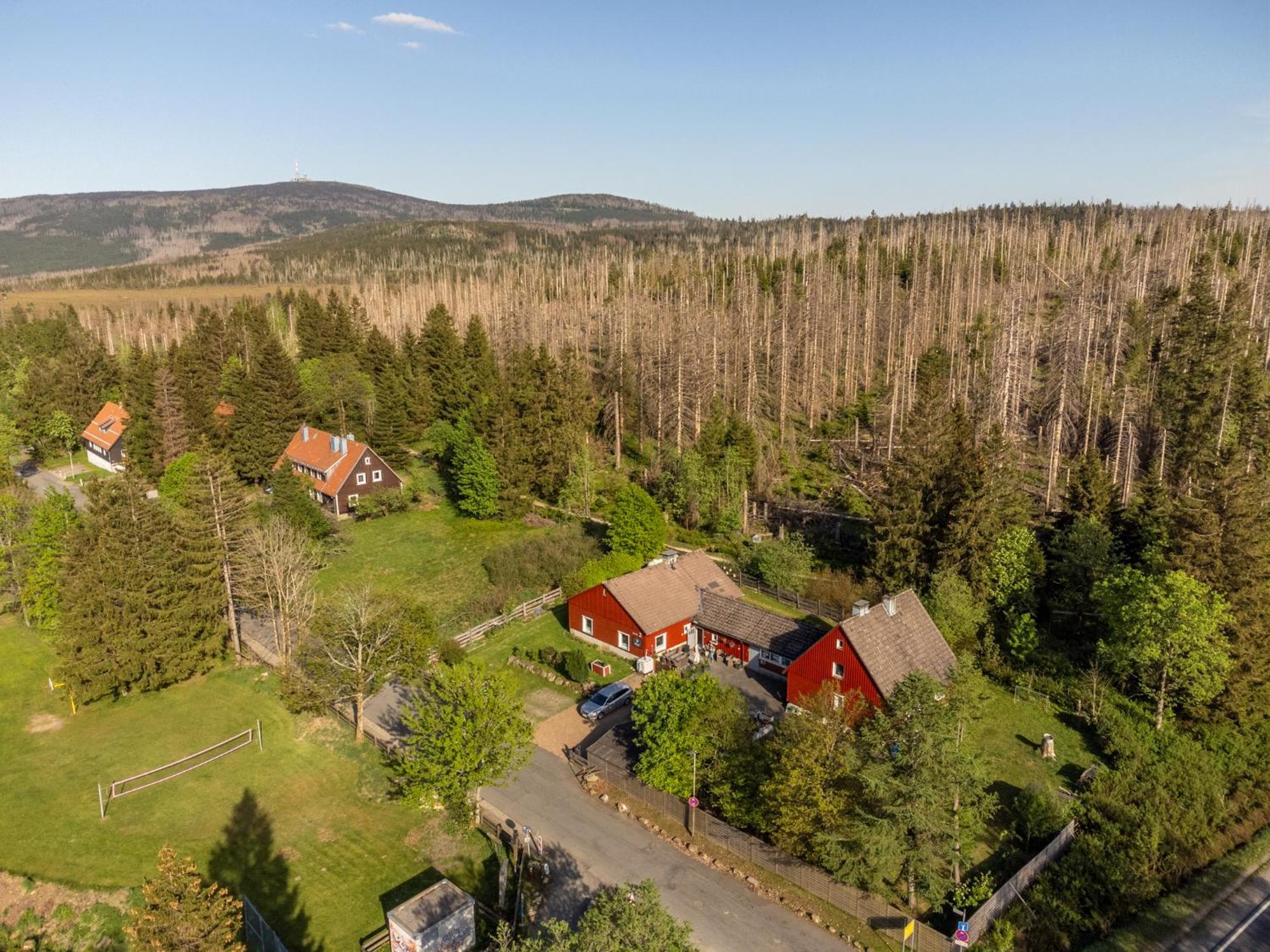 Gruppen & Familien-Ferienhaus Haensel Torfhaus Eksteriør billede